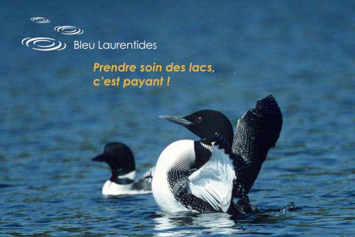 Comprendre et protéger l’état de santé des lacs